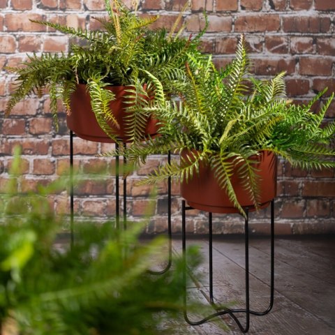 WY/DONICA/206 KPL BRĄZ+CZAR/X2