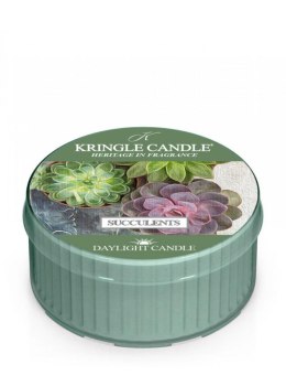 Kringle Candle - Succulents - Świeczka zapachowa - Daylight (42g)