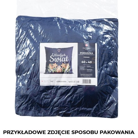 PIERNIKI Poduszka z wypełnieniem silikonowym dwustronna MICROFIBRA, 40x40cm, kolor 001 biały TBN016/SIL/001/040040/1