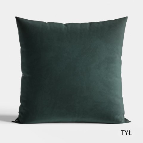 PIES HEKTOR Poszewka dekoracyjna VELVET, 40x40cm, kolor 001 P00147/POP/001/040040/1