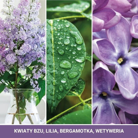 Świeca duża LILAC BLOSSOMS