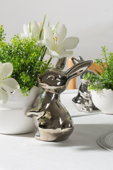 WI/C/MIS/154 21X13X16 B+SREB