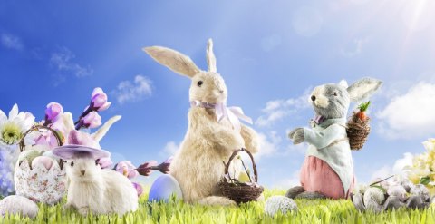 WI/N/GNIAZDO/03 13X13X8 GNIAZDO