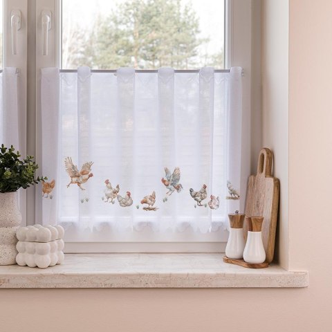 KURY Zazdrostka żakardowa 361910, wysokość 50cm, kolor 001 D00298/ZAZ/001/000050/1