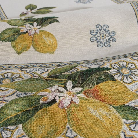 GOB/CHO/009/NAT 40X100 +/-5%