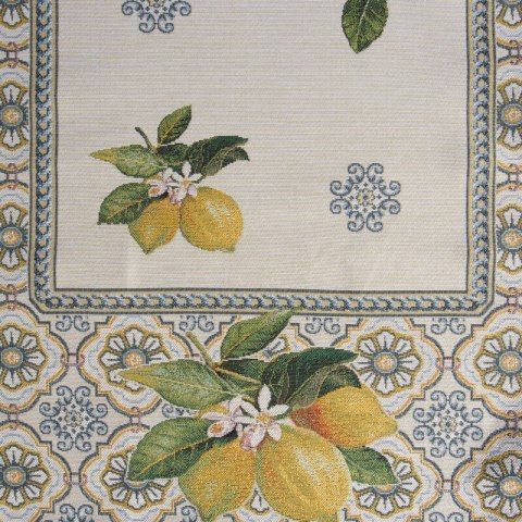 GOB/CHO/009/NAT 45X140 +/-5%