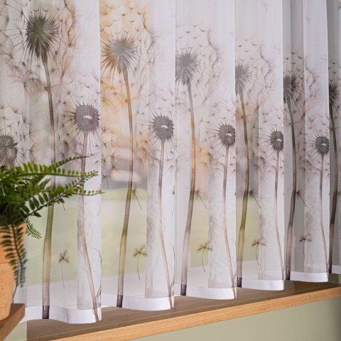 DMUCHAWCE Firanka żakardowa 023426, wysokość 160cm, kolor 001 biały D00307/000/001/000160/1