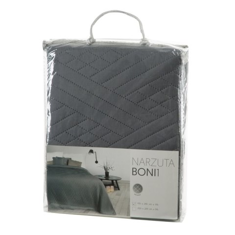 SI/N/BONI/1/GRAF 170X210 GRAF