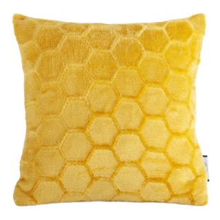 SI/PO/ZOE/2/MUS 40X40 MUSZ