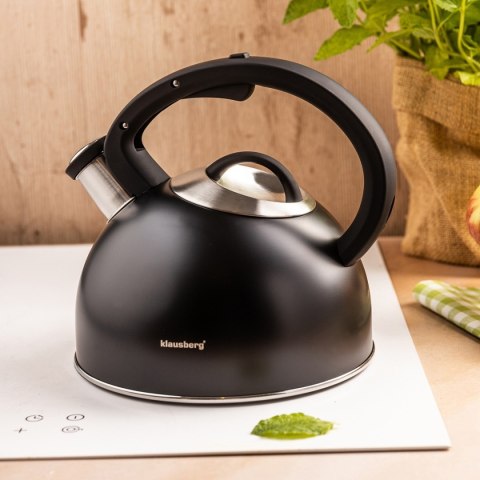 CZAJNIK STALOWY Z GWIZDKIEM 2,5L KLAUSBERG KB-7911