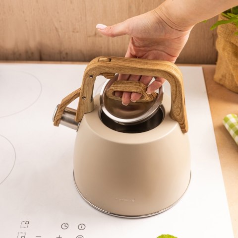 CZAJNIK STALOWY Z GWIZDKIEM 2,5L KLAUSBERG KB-7917