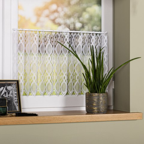 Zazdrostka gipiurowa, wysokość 40cm, kolor 001 biały 016472/447/001/000040/1