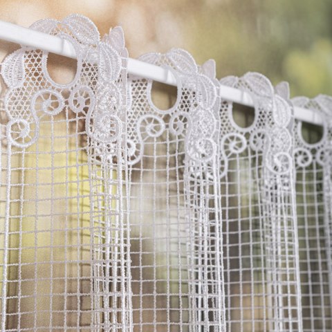 Zazdrostka gipiurowa, wysokość 50cm, kolor 001 biały 016409/447/001/000050/1