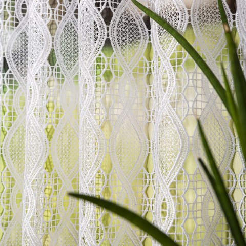 Zazdrostka gipiurowa, wysokość 60cm, kolor 001 biały 016472/447/001/000060/1