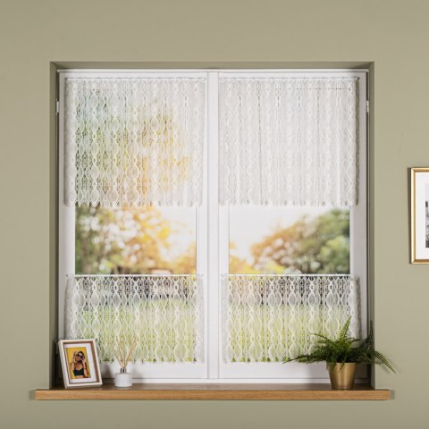 Zazdrostka gipiurowa, wysokość 60cm, kolor 010 naturalny 016472/447/010/000060/1