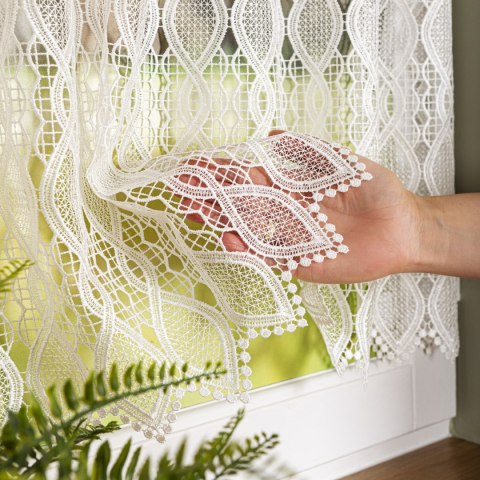 Zazdrostka gipiurowa, wysokość 60cm, kolor 010 naturalny 016472/447/010/000060/1