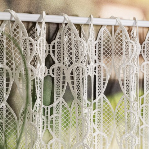 Zazdrostka gipiurowa, wysokość 80cm, kolor 010 naturalny 016451/447/010/000080/1