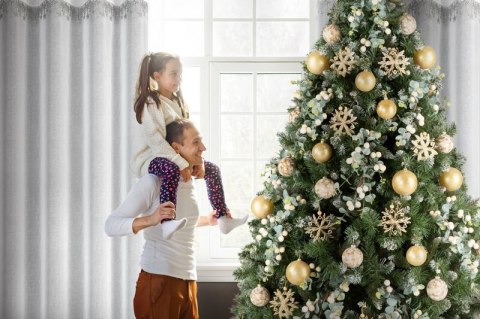 SW/XMAS/FIR/1/SR 140X250 PRZEL