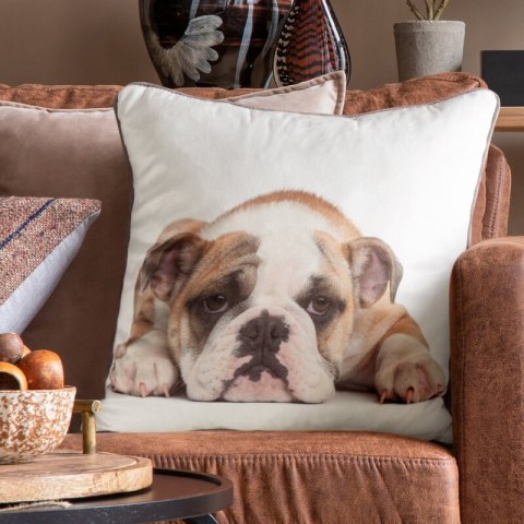 POSZEWKA ANIMAL 81 45 X 45 CM BIAŁY