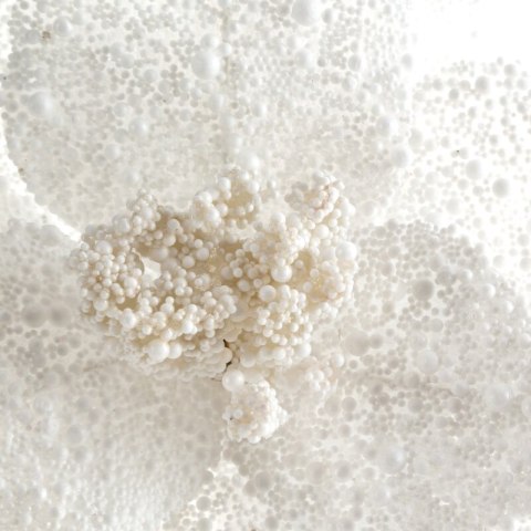 KWIAT ŚWIĄTECZNY 268 O 25 CM BIAŁY