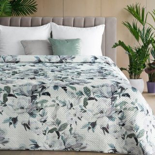 SI/N/LOTI/B+SREB 200X220 B+OLIW