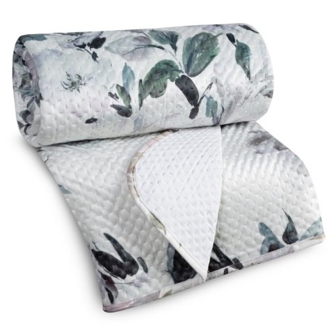 SI/N/LOTI/B+SREB 200X220 B+OLIW