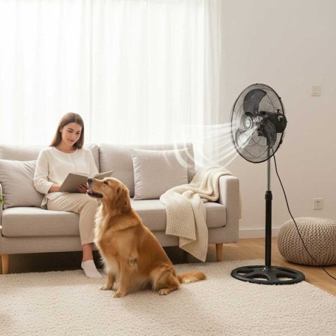 WENTYLATOR WIATRAK PODŁOGOWY BIURKOWY ŚCIENNY 3w1 KLAUSBERG KB-9042