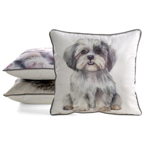 SI/CHP/ANIMAL/85 45X45