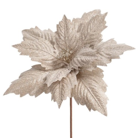 KWIAT ŚWIĄTECZNY 295 O 35 CM SZAMPAŃSKI