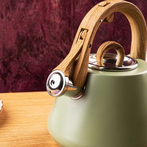 CZAJNIK STALOWY Z GWIZDKIEM 2,5L KLAUSBERG KB-9062 PISTACJOWY
