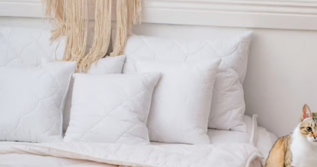 Jak prać kołdrę i poduszkę bez utraty ich właściwości?